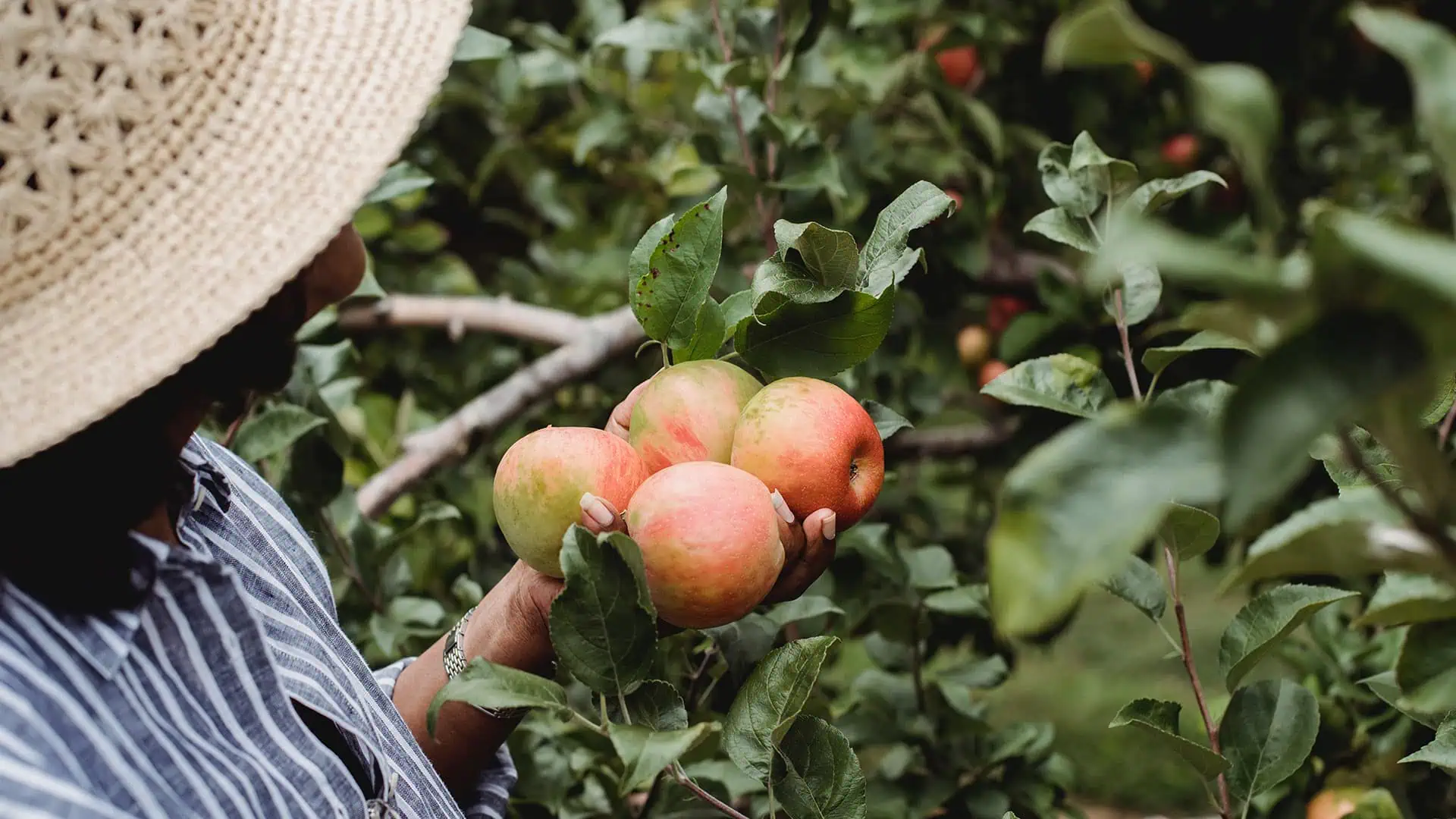 Webinar: Access to Finance for Young Farmers