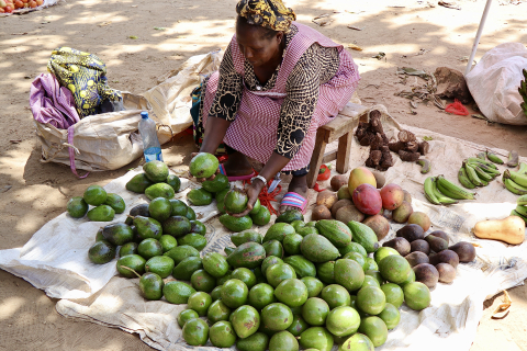 STDF Food Safety, Traceability and Trade Facilitation Innovation Grant