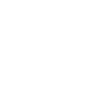 AU–EU Youth Action Lab — Innovation Grants