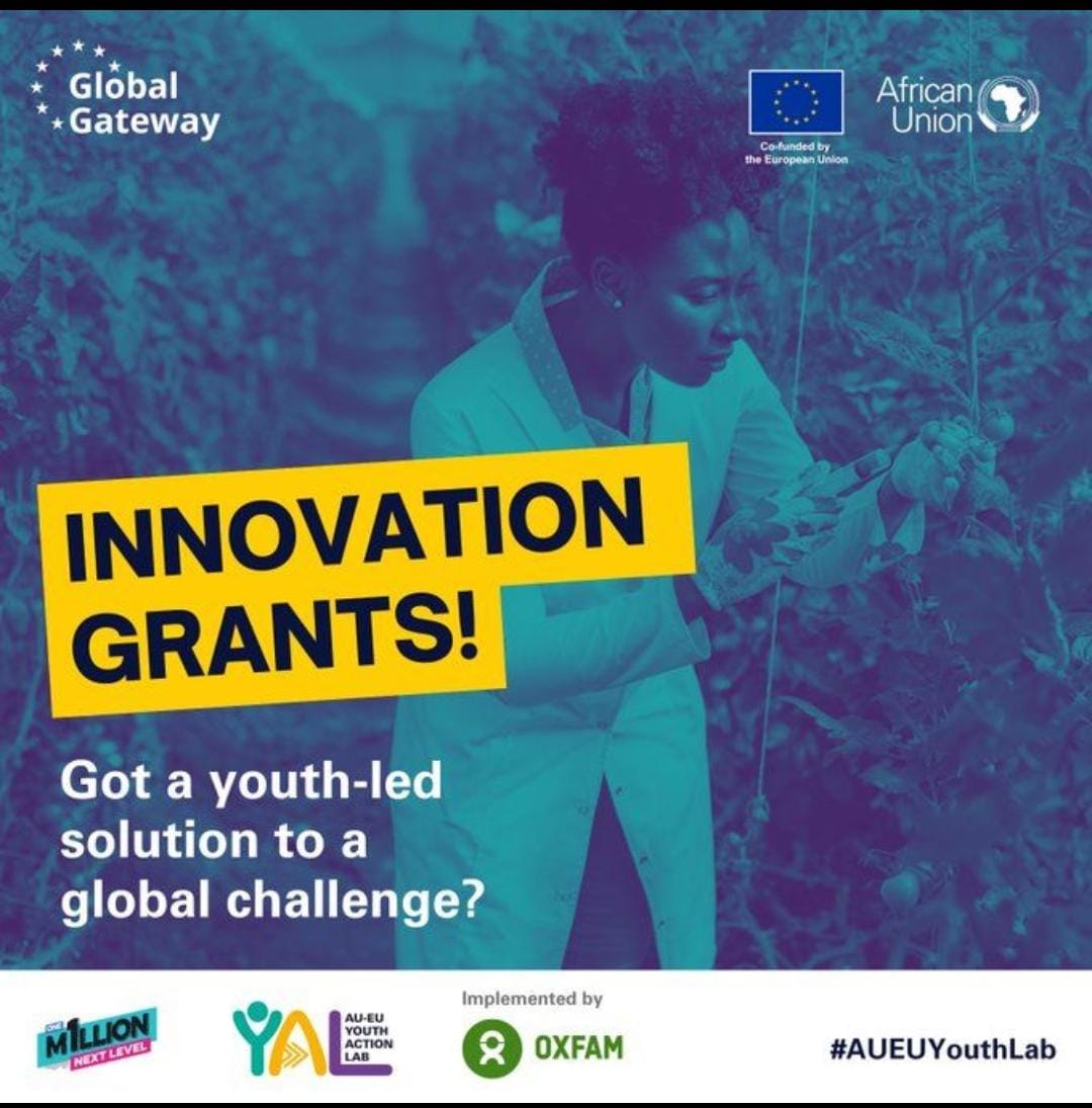 AU-EU Youth Action Lab Grants 2026