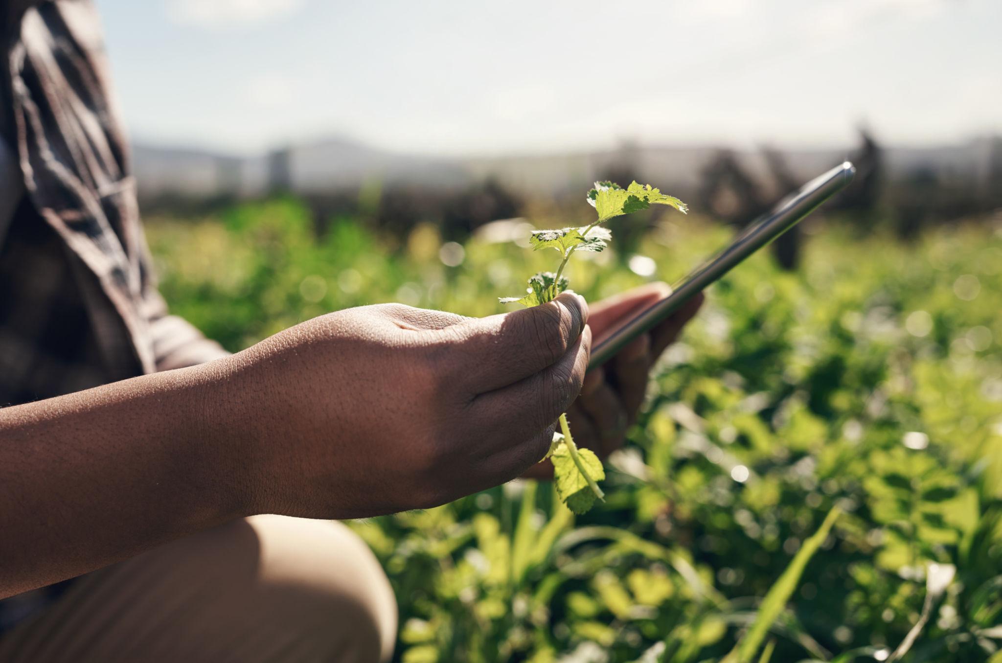 Fund for Innovation in Development (FID) – Open Call for Innovative Projects