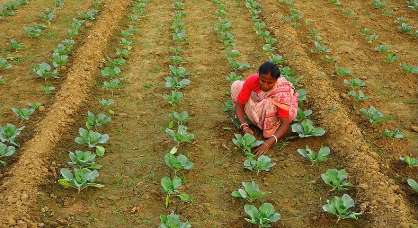 Rio Changemakers 2026 – Climate & Nature Financing Opportunity for Locally Led Projects